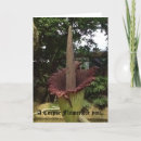 Suche nach leichen karten Für alle