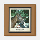 Suche nach rennpferd magnete Pferderennen