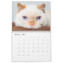 Suche nach verrückt kalender Katzen