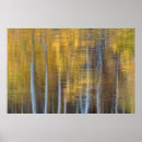 Suche nach spiegelung poster Abstrakt