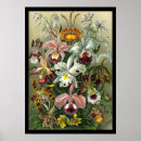 Suche nach art forms in nature poster Blume