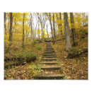 Suche nach treppen poster Wälder