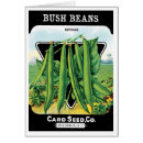 Suche nach die bohne karten Grüne bohnen