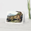 Suche nach puma karten Panther