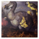 Suche nach schnabel fliesen Flügel