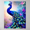 Suche nach beautiful poster Peacock