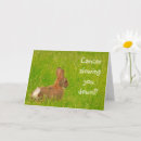 Suche nach lustige hase karten Jede person