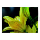 Suche nach lilium karten Blätter