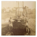 Suche nach ägyptisch untersetzer Afrika