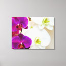 Suche nach weiße orchideen leinwandbilder Für alle