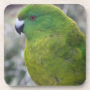 Suche nach neuseeland untersetzer Natur