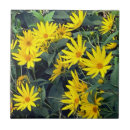 Suche nach artischocke fliesen Blume