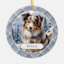 Suche nach australian shepherd ornamente Welpe