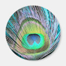 Suche nach peacock magnete Pfau