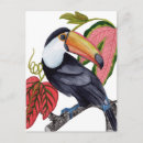 Suche nach exotische vögel postkarten Tropische blätter
