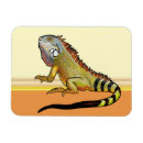 Suche nach lizard magnete Tropisch