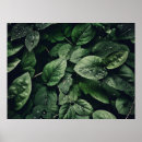 Suche nach jungle poster Wohngestaltung