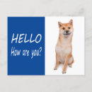 Suche nach shiba inu welpe postkarten Denken sie