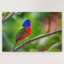 Suche nach singvögel puzzle Für alle