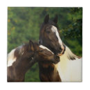 Suche nach sinti und roma fliesen Pony