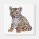 Suche nach niedlicher tiger magnete Baby