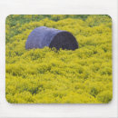 Suche nach region mousepads Europa