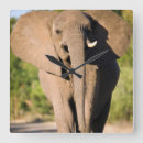 Suche nach afrikanischer elefant wanduhren Tag