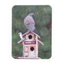 Suche nach vogelhaus magnete Für sie