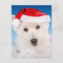 Suche nach weihnachtstiere postkarten Ferien