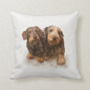 Suche nach dackeln kissen Jede person