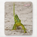 Suche nach chamäleon mousepads Afrika