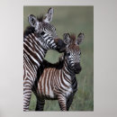 Suche nach zebra druck poster Für alle