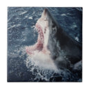 Suche nach amos fliesen Grenze danita