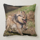 Suche nach geschirr kissen Bob und pam langrish