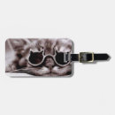 Suche nach coole katze gepäckanhänger Sonnenbrille