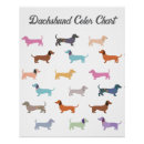 Suche nach lustige dackel poster Jede person