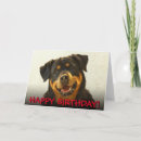 Suche nach rottweiler karten Rottie