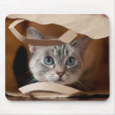 Suche nach braunes auge mousepads Fotografie