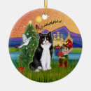 Suche nach schwarze katze ornamente Katzen