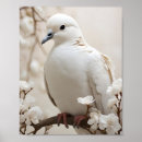 Suche nach eleganter vogel poster Jede person