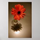 Suche nach orange gerbera kunst Daisy