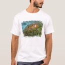 Suche nach anemonen tshirts Korallenriff