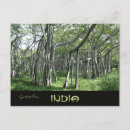 Suche nach tamil nadu postkarten India