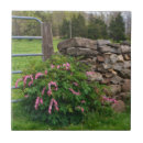 Suche nach weide fliesen Land