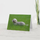 Suche nach pam karten Hunde fotograf