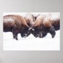 Suche nach buffet poster Fotografie