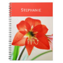 Suche nach tulpen kleine notizbücher Frühling