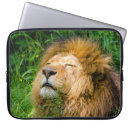 Suche nach lion laptop schutzhüllen Tier