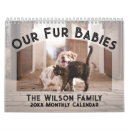 Suche nach haustiere kalender Pelzbabys
