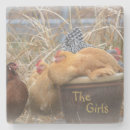 Suche nach hen untersetzer Tiere